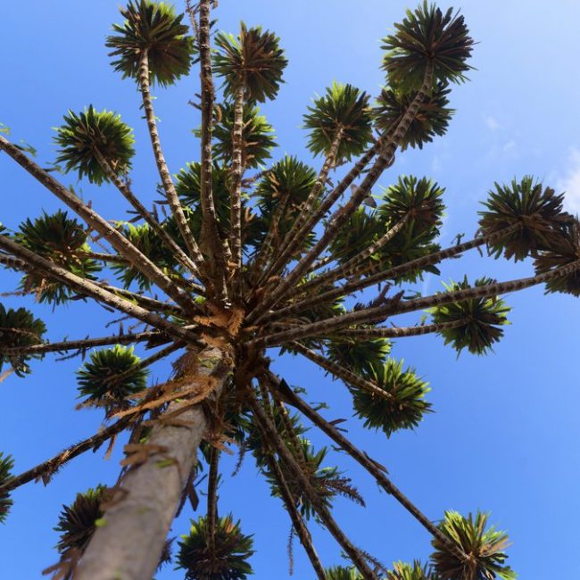 GRAND PALLAZO III _Externas (15)