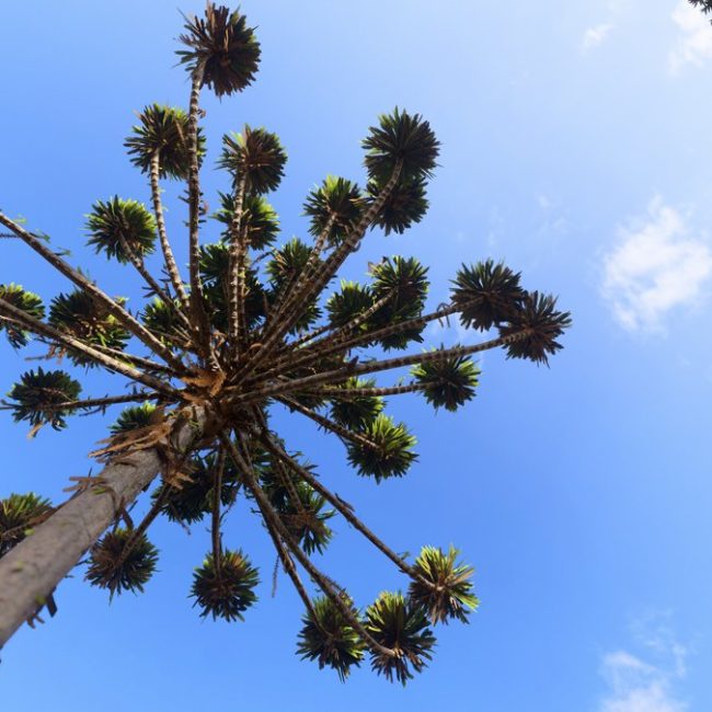 GRAND PALLAZO III _Externas (4)